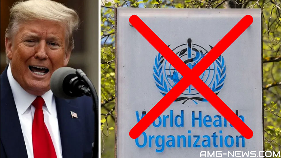 BOOOOM! Trump Announces Plans to PULL the U.S. OUT of the WHO on Day 1, SHATTERING Globalist Tyranny! [MUST-SEE VIDEO]