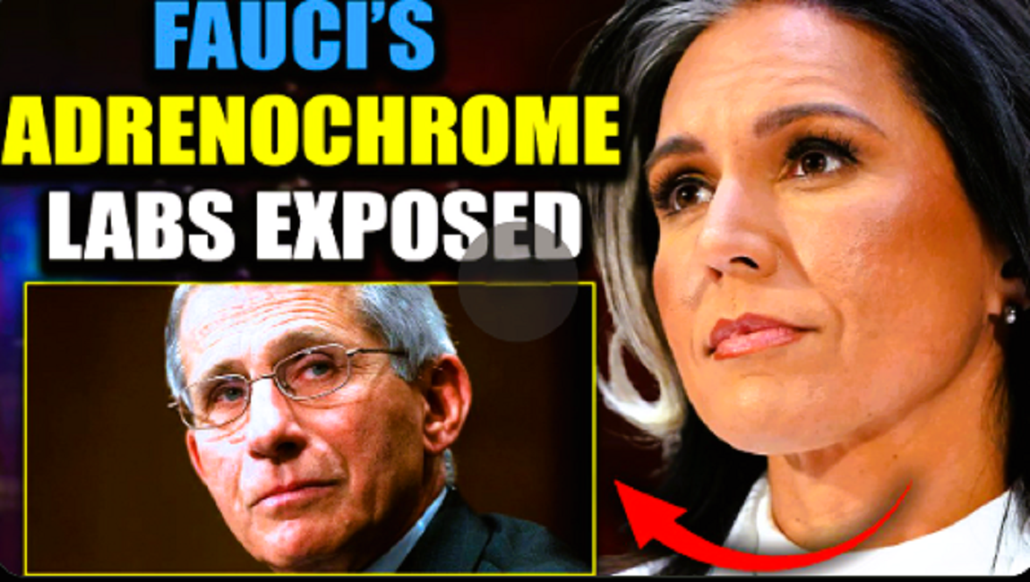 BREAKING NEWS: TULSI GABBARD & RFK JR. EXPOSE FAUCI’S UKRAINE BIOLABS AS ADRENOCHROME FACTORIES. THE “CONSPIRACY” WAS REAL — CHILDREN WERE THE CURRENCY