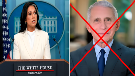 21st CENTURY NUREMBERG: DNI Tulsi Confirms Federal Investigation into Pandemic Puppetmaster Fauci. Perjury. Biolab Money Trails. Crimes Against the American People. Operation: Full Disclosure — Step by Step, Lie by Lie
